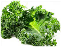 fresh kale