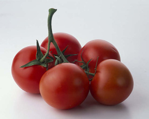 tomatoes