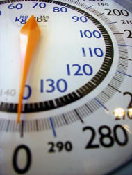 image of a scale